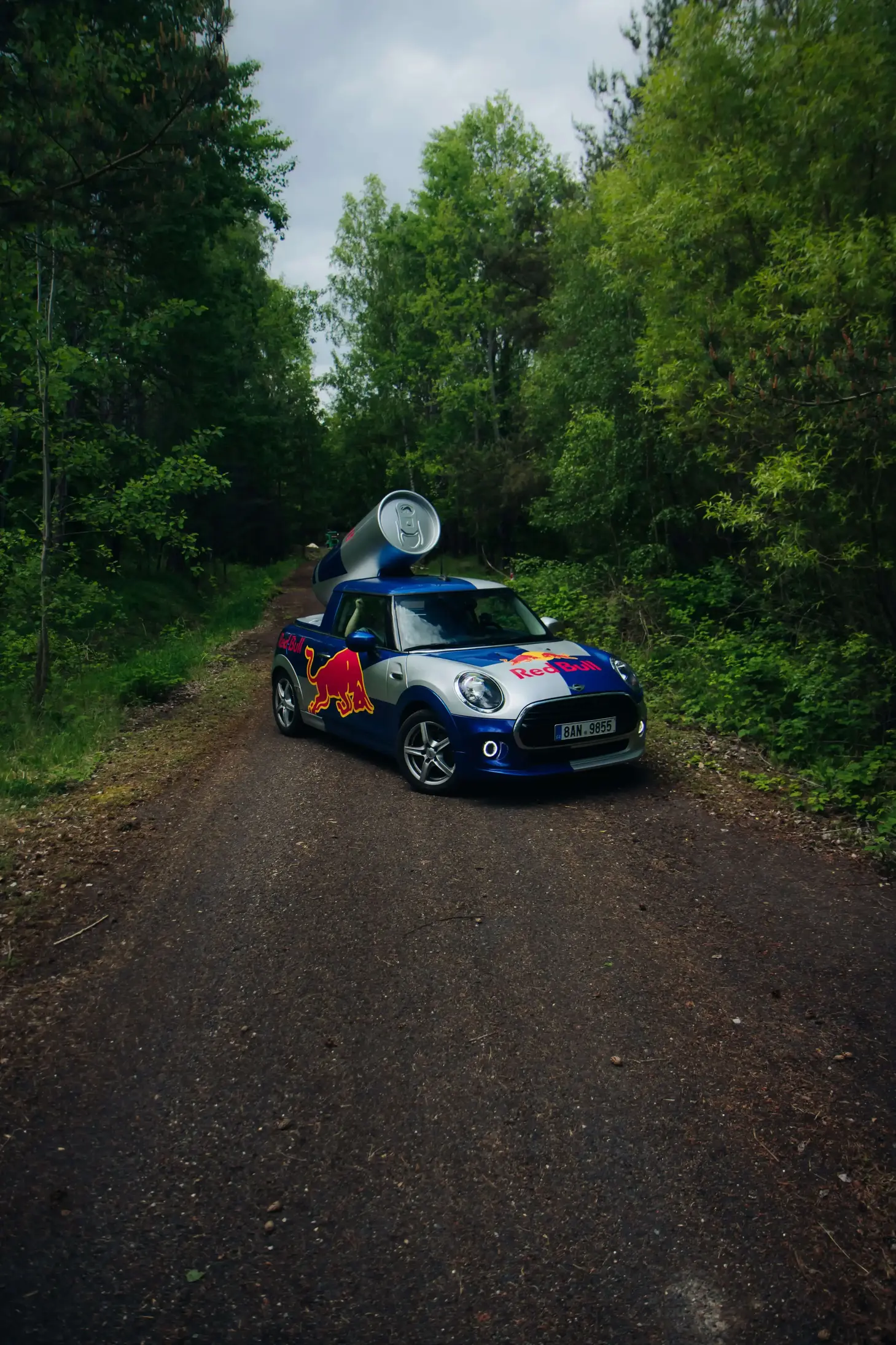 Redbull mini