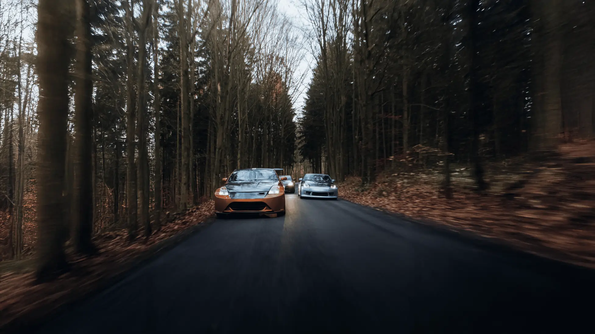 Z cruise